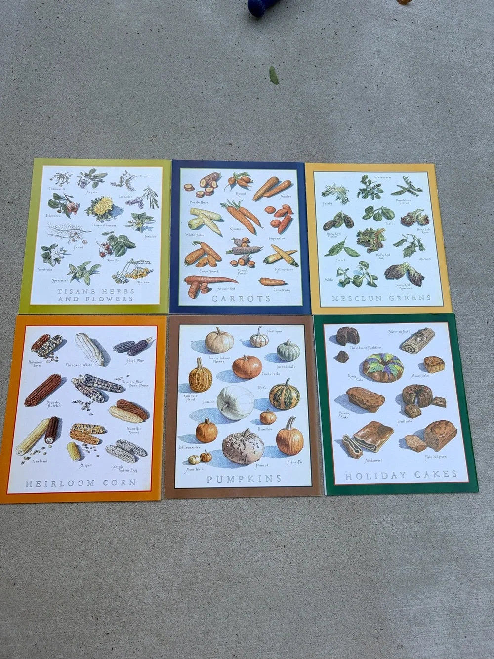 2009 Cook’s illustrated complete collection- 6 issues
